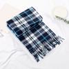 10Pcs Men Women Scarf Plaid Print Tassel Trim Double Sided Velvet Long