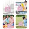 Portable Fridge Thermal Bag Lunch Box Container with Handle Zipper Closure Waterproof Lunch Box Tote Cooler Bag Pouch