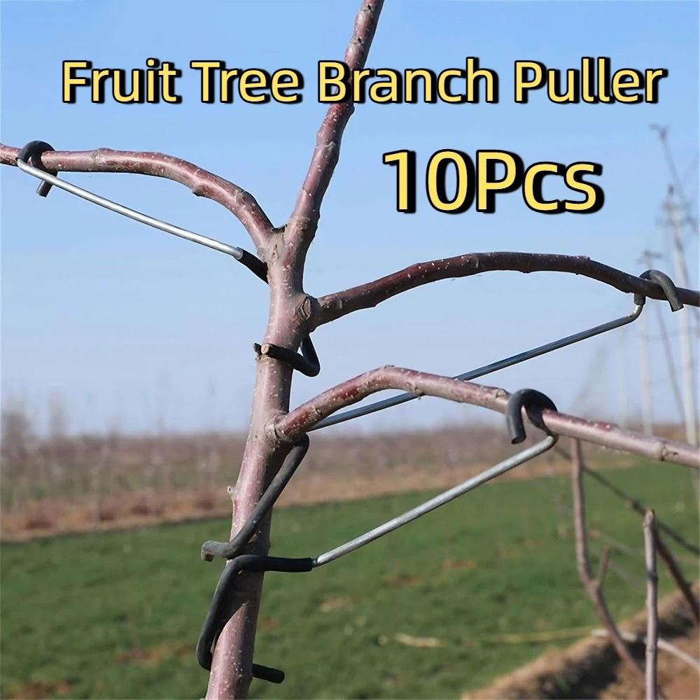 10Pcs Anti-Slip Metal Limb Spreaders Branch Bending Clips Outdoor Farm Planting