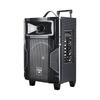 Портативная уличная Bluetooth-колонка Newmine L23 с беспроводным микрофоном, штекер CN (адаптер в комплекте) (Китайская версия)