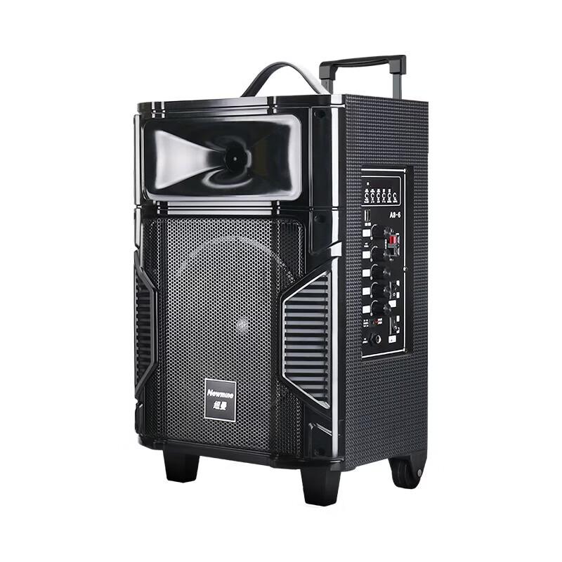 Портативная уличная Bluetooth-колонка Newmine L23 с беспроводным микрофоном, штекер CN (адаптер в комплекте) (Китайская версия)