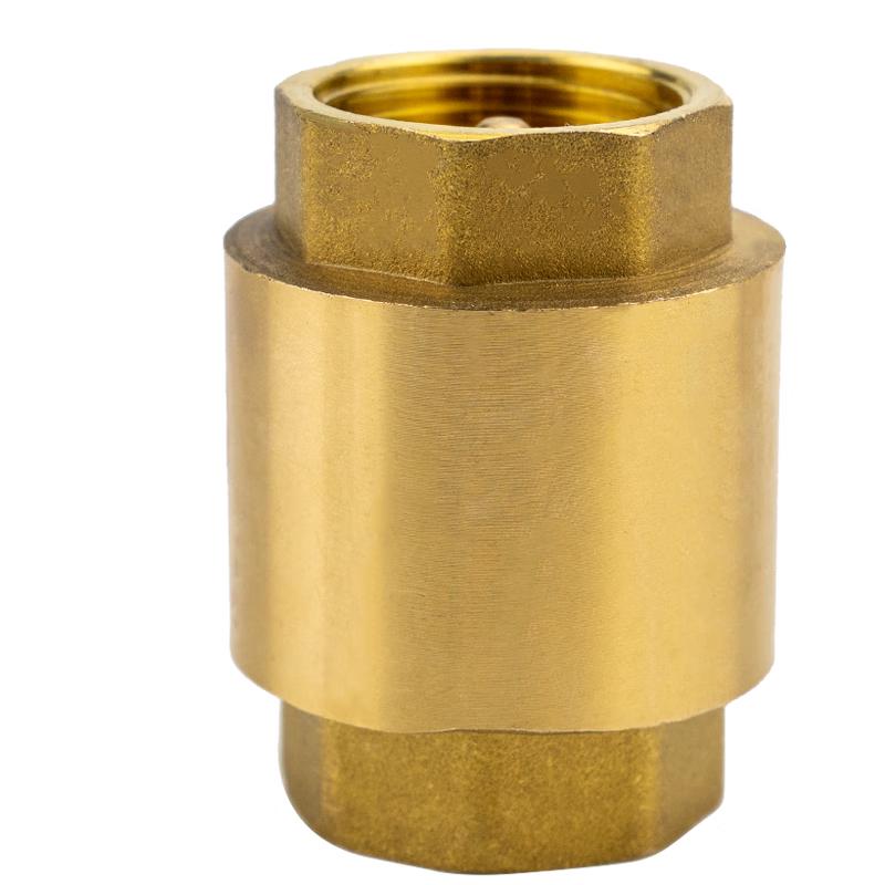 Haisidick GNJZ-631 Vertical Brass Spring Check Valve