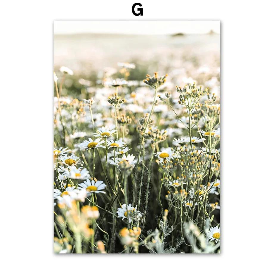 Озеро Мост Гора Лес Трава Лодка Настенное Искусство Холст Живопись Скандинавские Постеры и Принты Настенные Картины для Декора Гостиной