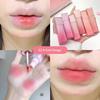 Cappuvini Nude Water Mist Lip Glaze Matte Velvet White Lip Gloss Стойкая губная помада
