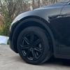 Колпак колеса 19" "Цветок сливы" для Tesla Model Y