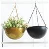 Iron Plant Pot with Hook Hanging Flower Pot Simple Succulent Plant Flowerpot  Home Decoration