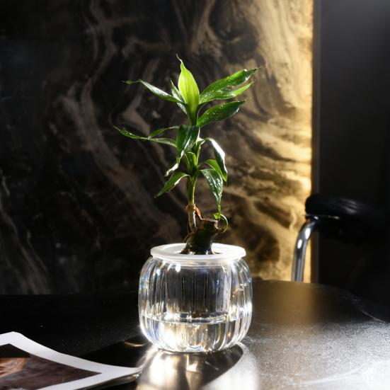 Аквапонный аквариум для рыбок петушков Прозрачный пластиковый ударопрочный горшок Экосистема Аквариум Настольная аквапонная система для домика рыбок петушков Комнатные растения