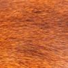 Полоски кожи Bimoo Full Pine Squirrel Zonker для Matukas Zonkers, растяжки, мягкие полоски пиявки, 3 мм, дубляж, меховые материалы для завязывания мух