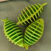 Fish-shaped Design Ultra-soft Ring Tpr Multi-color 50 Pcs