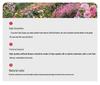 Искусственный Дельфиниум для Декора Свадебного Зала и Отеля - Ручная Работа Цветочного Искусства