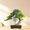 Plastic Trellis For Indoor Climbing Plant Plastic Trellis For Indoor Plant Climbers Support For Flower Growth Support