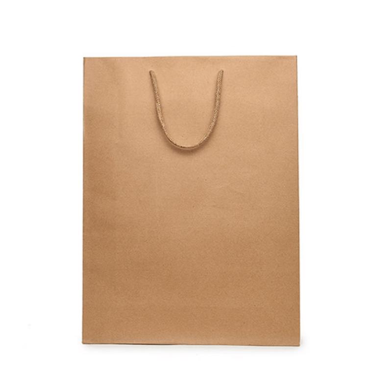 Cqint QtZD-001 Medium Vertical Kraft Paper Bags, 10-Pack