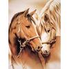 5D DIY Diamond Painting Horse Couple Full Round Diamond Embroidery Horses Cross Stitch