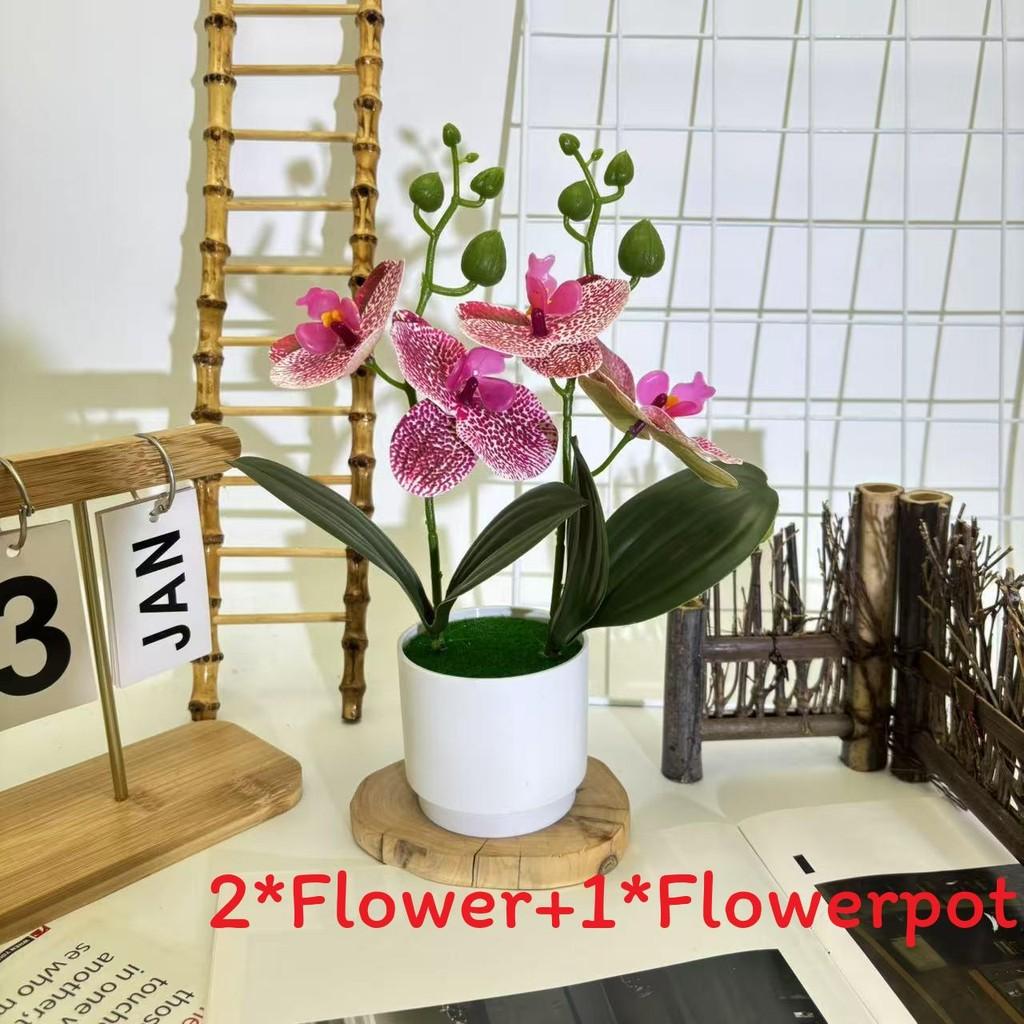 Butterfly Orchid Imitation Flower Set For Home Interior And Outdoor Garden Decoration