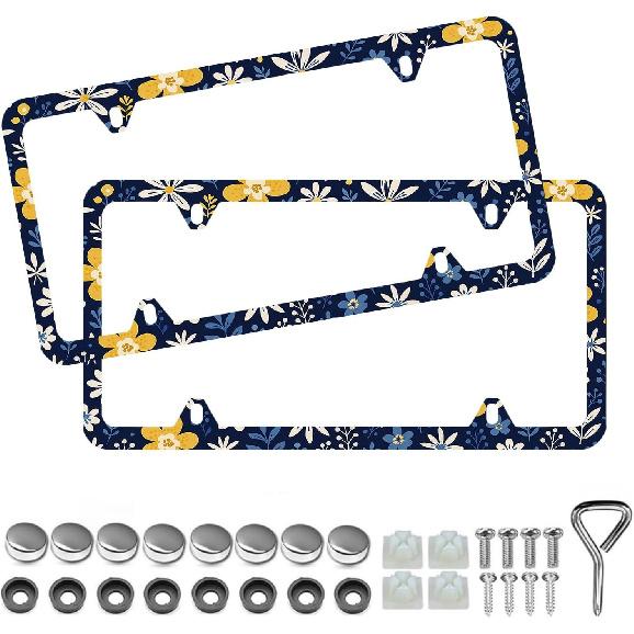 Light Blue Seashells Beachy License Plate Frame - Unobstructed Narrow-Edge 2 Packs Universal Stainless Steel Car License Plate Frames Holder Solid