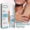 Hair Removal Spray, Under The Armpit Whole Body Private Area Gentle Non-Irritating Quick Hair Removal Spray