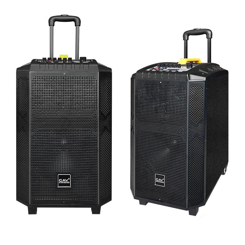 GAV K910 10-дюймовая портативная Bluetooth-колонка с двумя микрофонами, штекер CN (адаптер в комплекте)