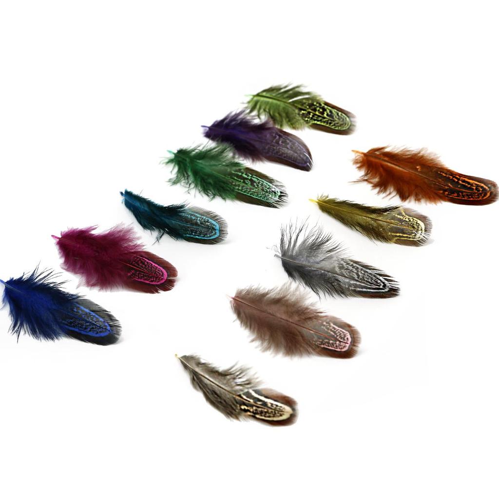 50 шт. 4-8 см редкие драгоценные DIY свадебные вечерние декоративные разноцветные перья фазана натуральные перья для украшения дома