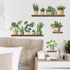 Свежая зелень Горшечные растения Полки Спальня Гостиная Домашний фон Ландшафтный дизайн Декоративные настенные наклейки