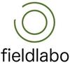 Fieldlabo щетка для чистки гитары скрипки щетка для удаления пыли (Набор 1)