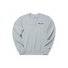 Champion Sweatshirts Unisex Crew Neck Moderate Regular (Unisex) Sweatshirts EW TSW16