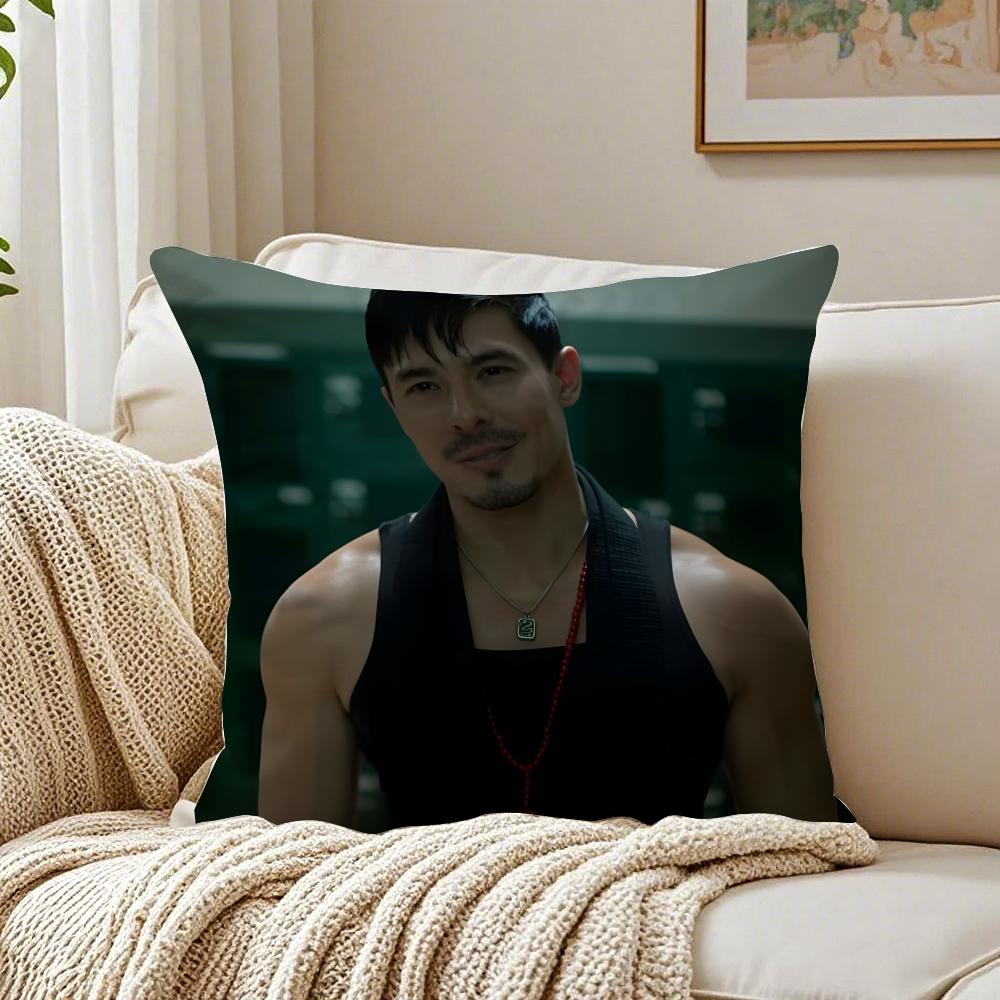 LLewis Tan Movie Star Peripheral Cushion Cover Pillowcase Antidustmite living Room Sofa Decor Cushion Room