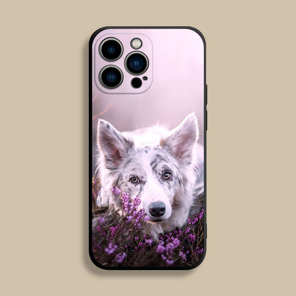 Чехол для телефона с собакой Бордер-колли для iPhone 17,16,15,14,13,12,Pro,Max,Plus,E,SE4,Air,Mini Черный Мягкий Чехол