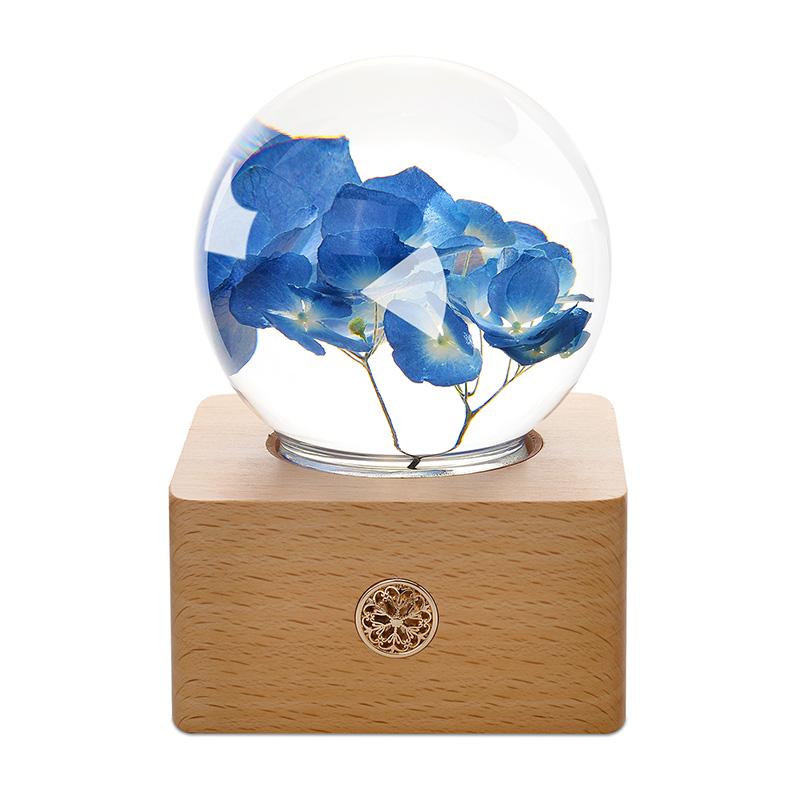 Unique Hot Item 2026 Trends New Years Innovative Product Ideas in Latest Real Flower Night Light Holiday Festival Gift Set