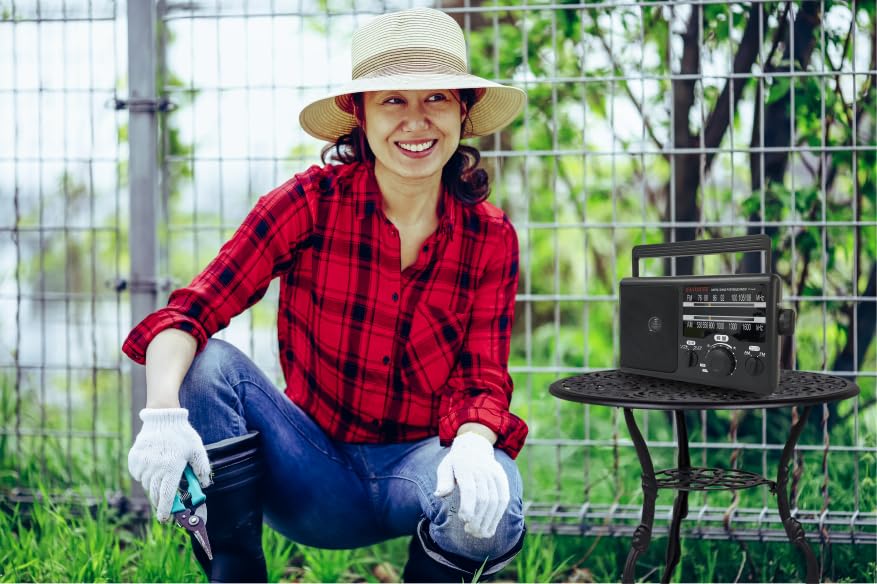 Aiwa Портативное домашнее радио aiwa audio PHR1 Black -G (BK)