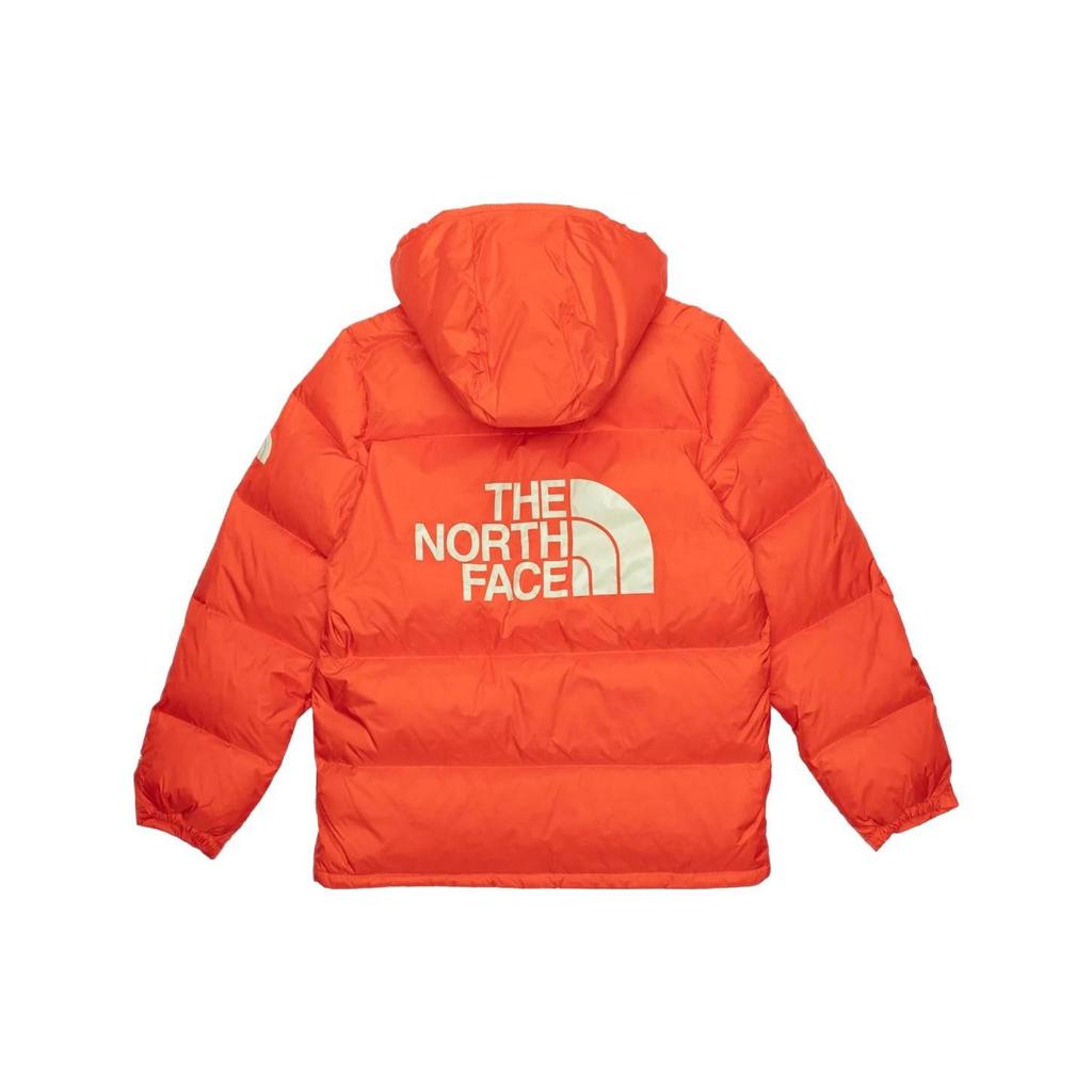 THE NORTH FACE Mens Color Block Sierra Parka NF0A5EIE-0TV