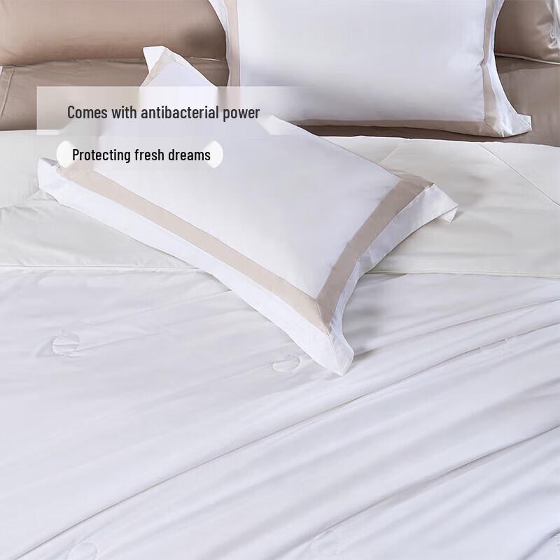 FUANNA 100% New Zealand Wool and Silk All-Season Duvet