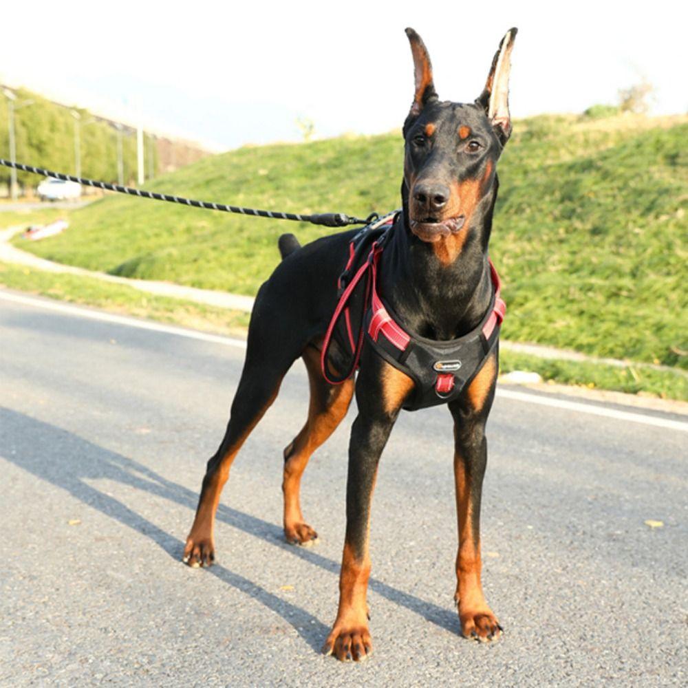 Adjustable Vest Type Dog Harness Reflective No-Pull Chest Strap Dog Chest Strap Training Use