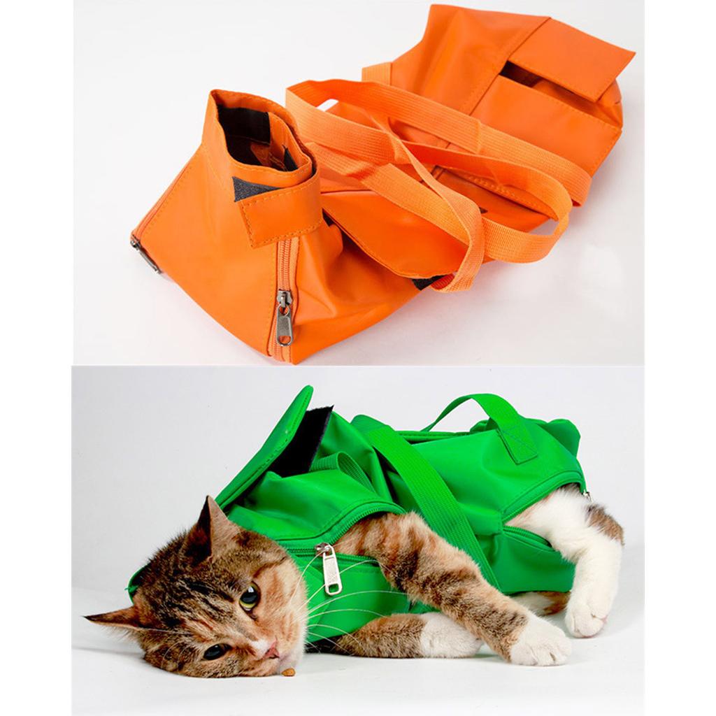 Foldable Pet Carrier Backpack Lightweight Nylon Material Breathable Mesh Portable Design For Cats And Small Dogs