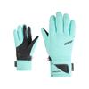 Ziener Gloves Klenn-z Gtx Pr