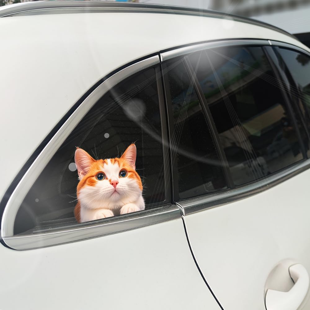 Cat Car Window Decals Funny 3D Waterproof Decals,Orange Cat Stickers,PVC Realistic Automotive Sticker, for Refrigerator,Toilet, Wall.Bathroom,1pcs