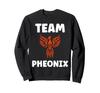 Humor Phoenix Animals Simple Fire Bird Team Phoenix Sweatshirt