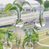 4pcs/set Self-Watering Plant Hydroponic Vase with Suction Cups Mini Flower Pot  Window