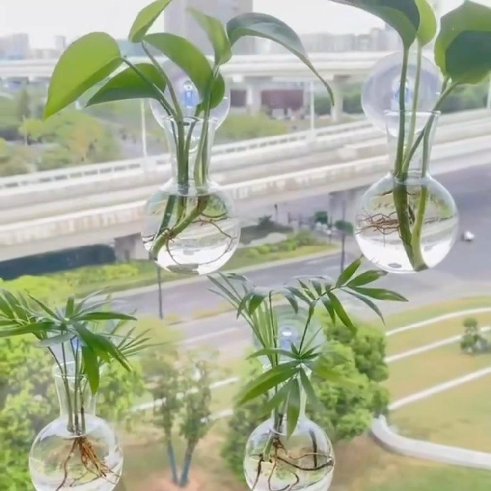 4pcs/set Self-Watering Plant Hydroponic Vase with Suction Cups Mini Flower Pot  Window