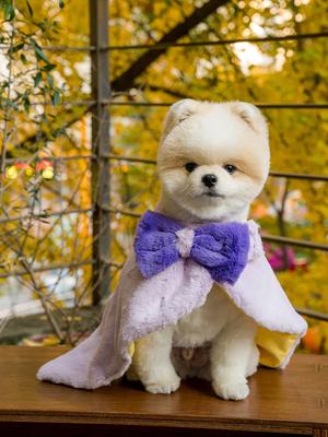 SALTYHEARTY Зимний халат ФИОЛЕТОВЫЙ