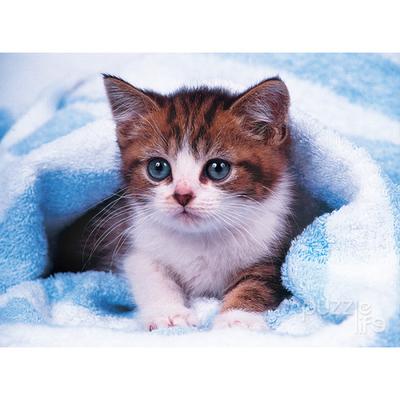 Пазл из 150 деталей - Котенок 2, популярная корейская головоломка