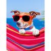 5D DIY Алмазная картина Happy Cool Beach Dog Алмазная вышивка Набор для вышивки крестом Полный горный хрусталь Мозаика Домашний декор