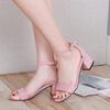 Summer Mid Heeled Shoes for Women, Thick Heels with Exposed Toes, Suede, Single Buckle Sandals, Roman Shoes