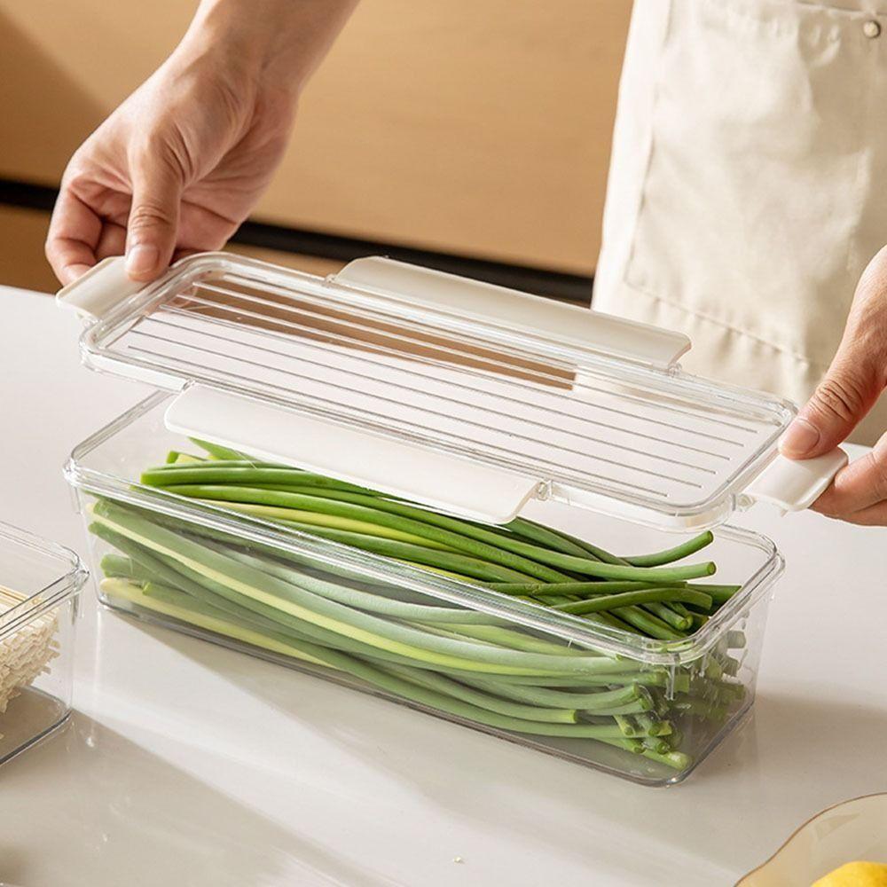 Sealed Pasta Storage Container Clear Plastic Fresh Keeper Box Spaghetti  Noodle Organizer  Fridge