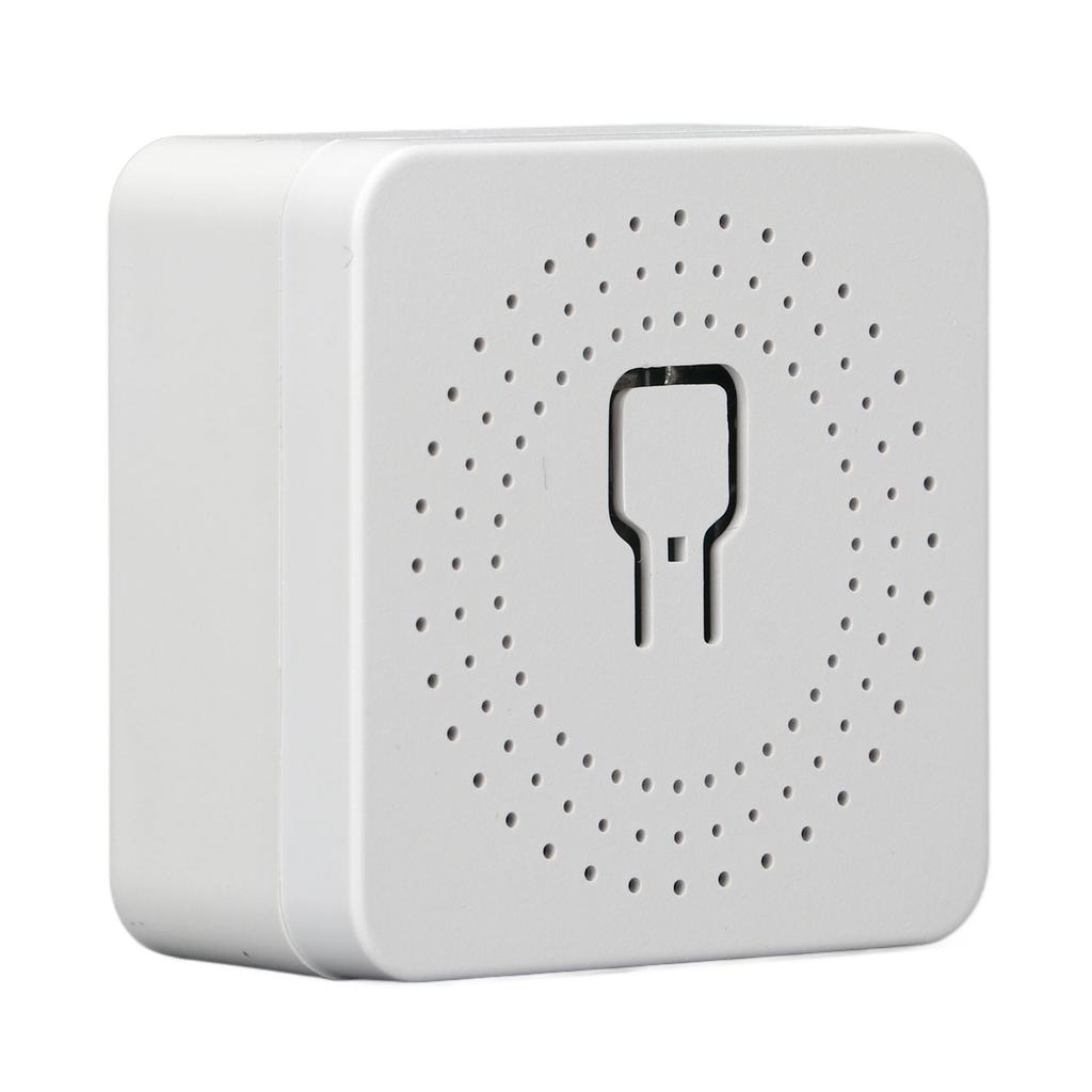 WiFi Switch Portable 16A Smart Power Switch APP Voice Control Miniature Remote Dual Control Switch for Tuya APP