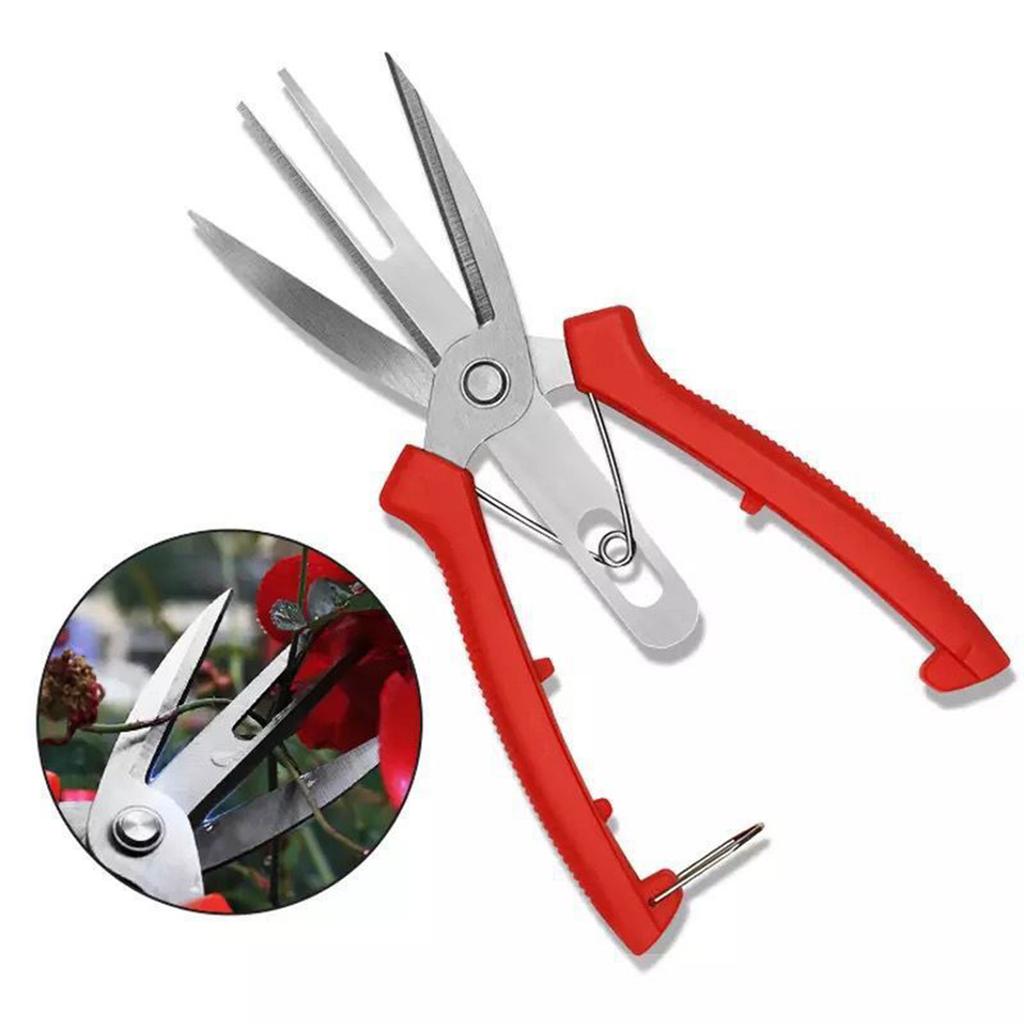 Double-edged Fruit Picking Scissors Garden Pruner Shears Citrus Tree Flower Cultivating Solid Pruning Fruit Tree Pruning Scissor