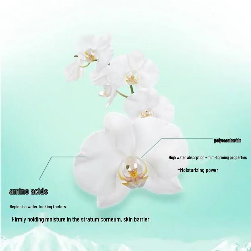 Chando Hydrating Moisturizing 2-Piece Skincare Set