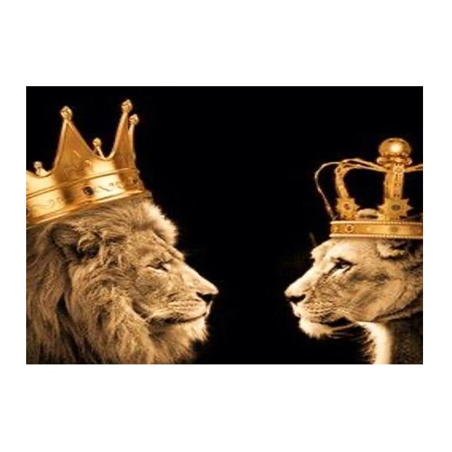 Семья льва, Корона, принт, холст, картина, галерея, Настенный декор, постеры, абстрактные животные с автографом, черно-белые фотографии, подарок