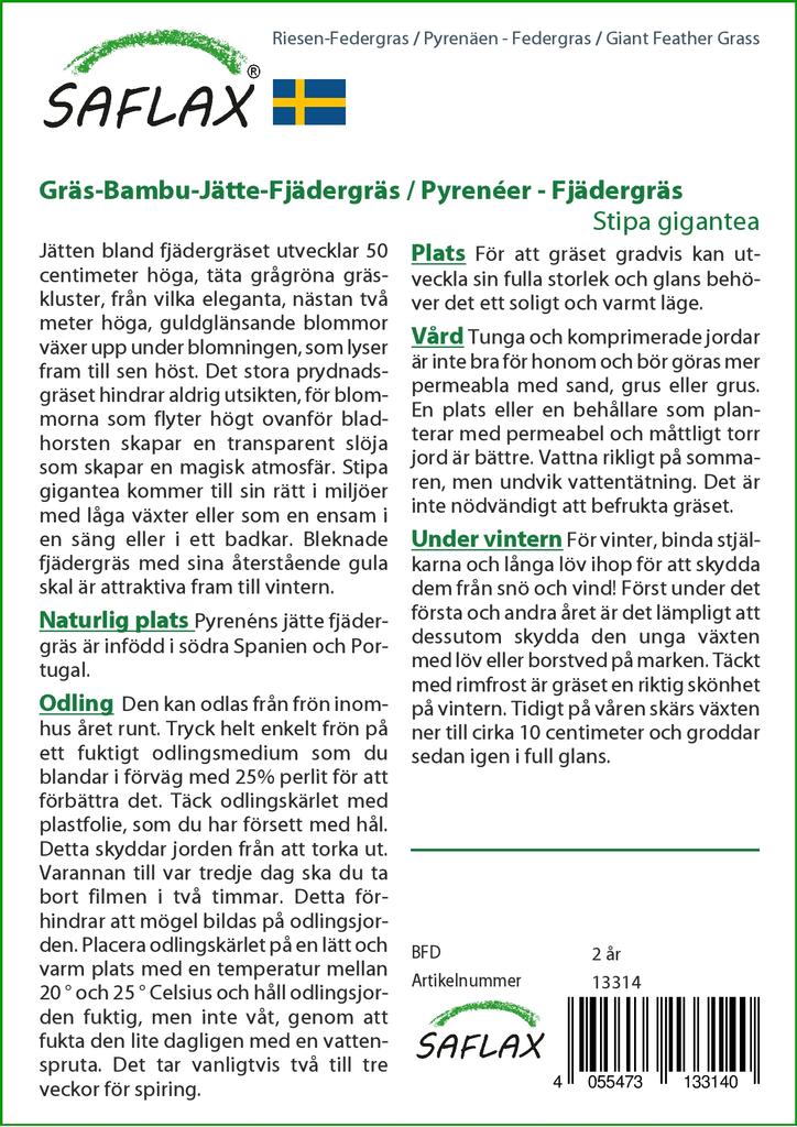 SAFLAX Garden in the Bag - Ковыль гигантский - 10 семян - С субстратом в подходящем пакете - Stipa gigantea
