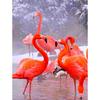 5d Diy Diamond Painting Cross Stitch Kits Animals Diamond Embroidery Flamingo Picture of Rhinestone