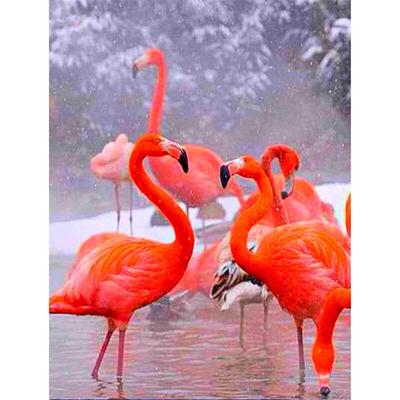 5d Diy Алмазная картина Наборы для вышивки крестом Животные Алмазная вышивка Фламинго Изображение Rhinestone